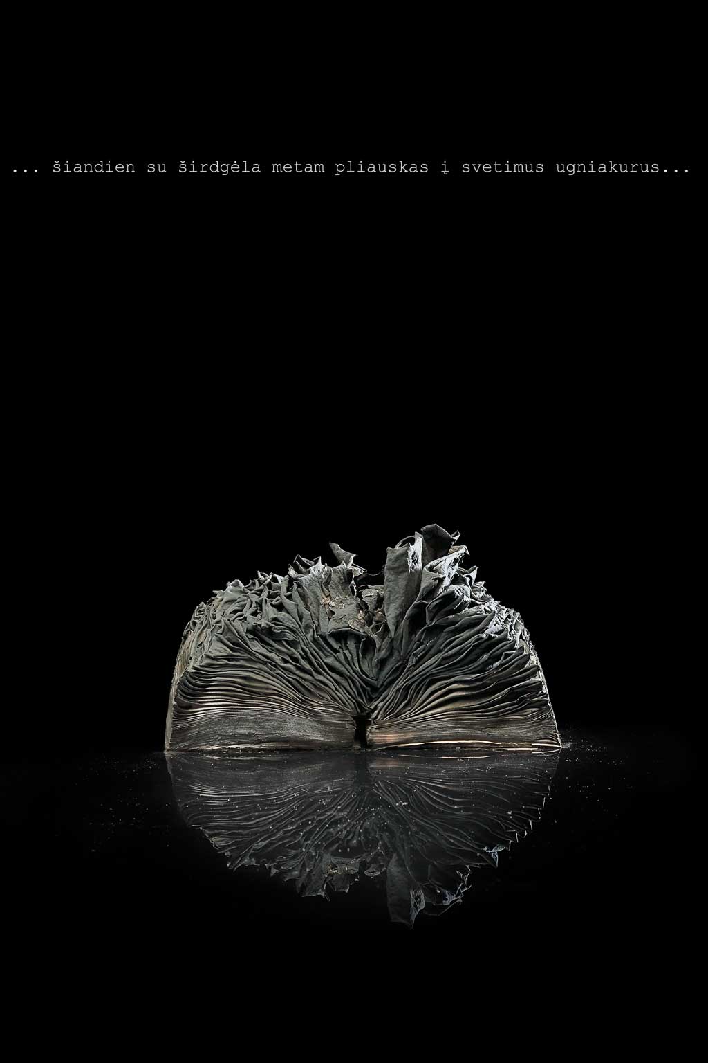 Arturas Valiauga_2 (Projekt Johannes Bobrowski)